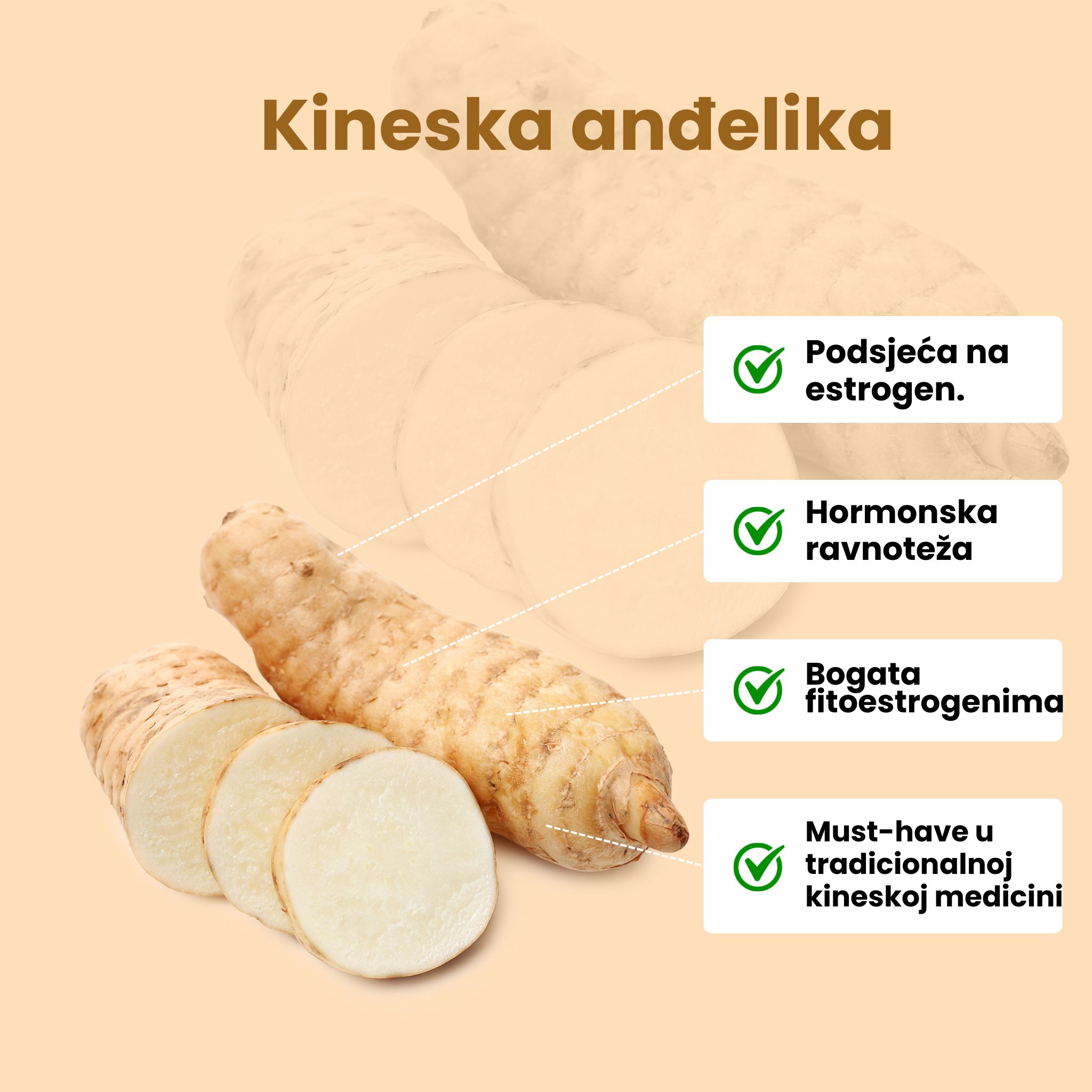 (Chorvatština) - 2025-02-18T074735.488